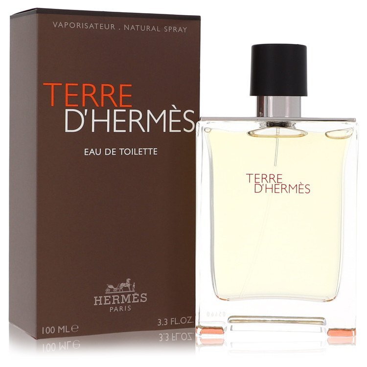 Terre D'Hermes by Hermes Eau De Toilette Spray 3.4 oz (Men) – JawsFragrance.com